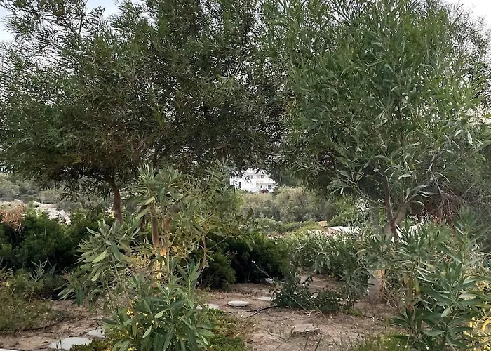 The Stone House Tatil Evi Andiparos