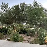 The Stone House 別荘 アンティパロス島