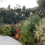 The Stone House *